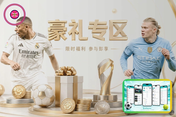 看赛辅助服务 · 九游娱乐